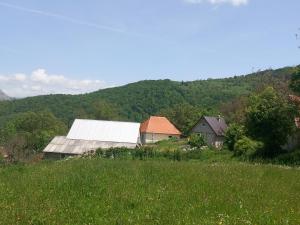 Seosko domaćinstvo Aprcović - Ubytování bez kategorie ve městě Plužine