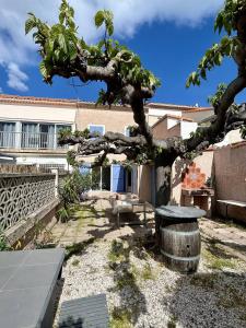 Agréable maison de village à deux pas de la plage 4GSA12