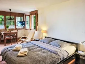 Studio Studio al vigneto by Interhome - Mendrisio