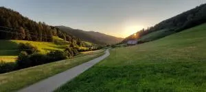 Irgendwo im Schwarzwald - Reichenbach