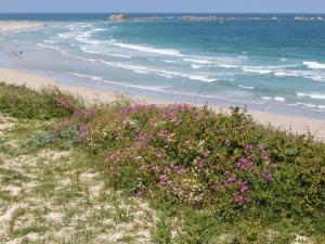 Maisons de vacances Holiday Home Brise Marine by Interhome : photos des chambres