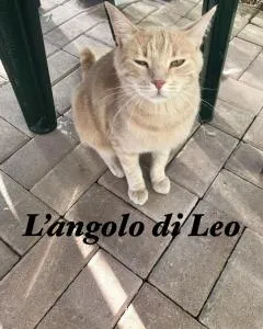 L'Angolo di Leo - Lessolo