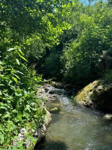 Kulla Hupi Agriturism