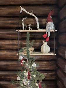 Secret Lapland - Luxury Villa Vieda with Hot Tub