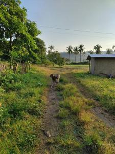 Balai Dulilit Entire Vacation Home with FreeTerrain Vehicle