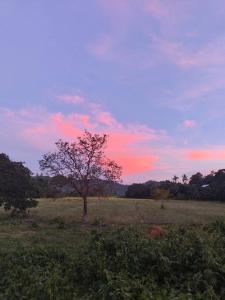 Balai Dulilit Entire Vacation Home with FreeTerrain Vehicle