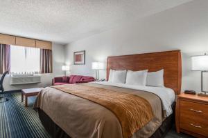 Executive King Room - Non Smoking  room in Quality Inn Denver Westminster