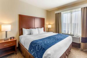 King Suite with Sofa Bed room in Comfort Suites Near Denver Downtown
