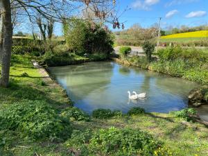 B&B / Chambres d'hotes Le Jardin Poulard : photos des chambres