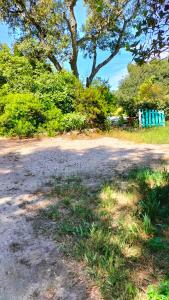 Appartements Fenouillet : photos des chambres