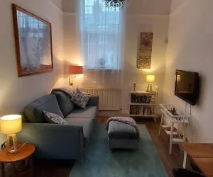 Old library apartment - 锡厄姆