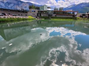 Chalet SCALA 3 JASNÁ