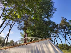 Maisons d'hotes Hozho Tempo - Sous les pins, Bed & Breakfast ecofriendly & slowlife avec sauna : photos des chambres