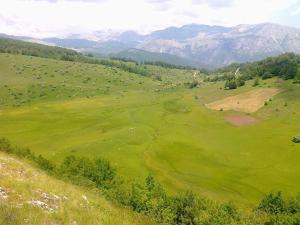 Jezerca Wild Beauty