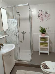 Apartment Igralište Mirakul