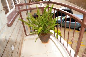 Roma Stays - Unique 1 bedroom at Lifestyle Residency near Luke Hotel along Thika Road