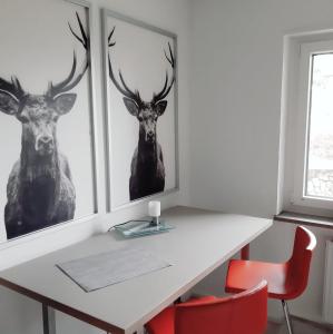 Wiedhöhen Ferienwohnung