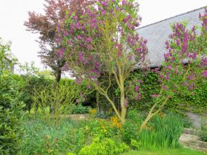 Maisons de vacances Holiday Home La Longere by Interhome : photos des chambres