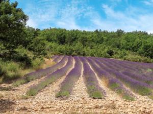 Maisons de vacances Holiday Home La Chenaie by Interhome : photos des chambres