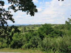 Maisons de vacances Holiday Home Cote Sud by Interhome : photos des chambres