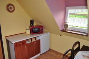 Apartament Izerski