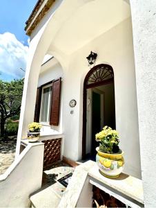 Simona House