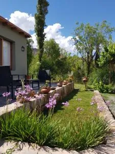 Tierra Primitiva - Juella