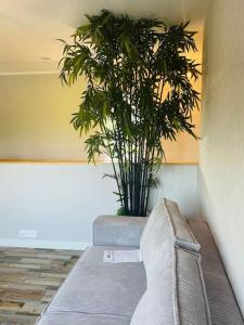 Maisons de vacances Ty Rozair : photos des chambres