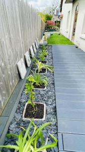 Maisons de vacances Ty Rozair : photos des chambres