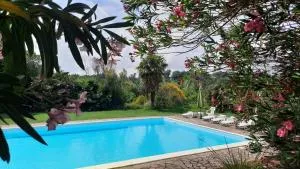 Podere Il Cerrone app Romilda con piscina - Collesalvetti