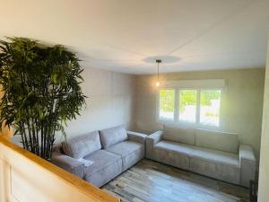 Maisons de vacances Ty Rozair : photos des chambres