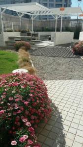 Departamento La Serena Disponible