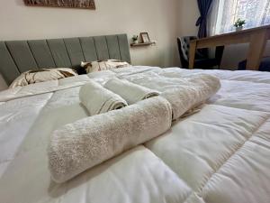 Krid Tirana Studio Flat