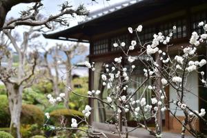 kkr奈良みかさ荘