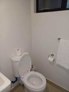 Umhlanga the Coconut at the Millenial