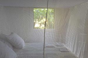 Maison éco-lodge larbre du voyageur