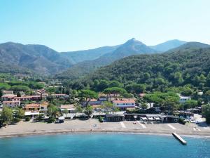 SantAnna del Volterraio - Margherite 5