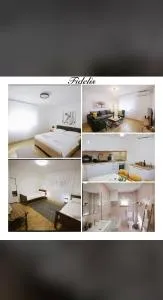 Apartman Fidelis - 柳布什基