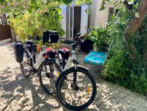 Maisonnette studio Arcachon 300m plage