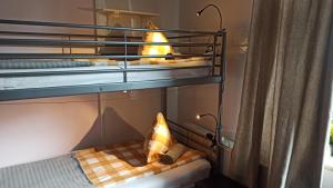 Willa Retro Hostel & Garden