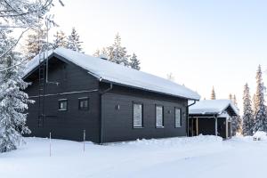 Villa Raikas, Northern Lights, ski & lake, free wifi, Vuosseli Resort Ruka