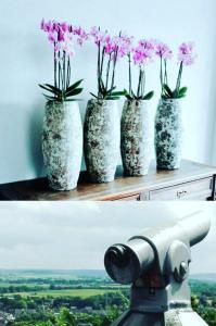 Appartement-woning Bellevue