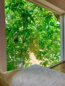 Apartament orzechowy superior z balią - 佩茨基