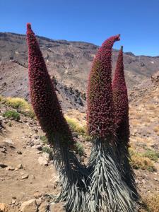 CASANTILVIA heated pool paradise