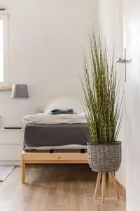 City Apartment Singen - 辛根