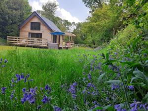 Maisons de vacances Ecolodge des Monts d-Arree & spa : photos des chambres