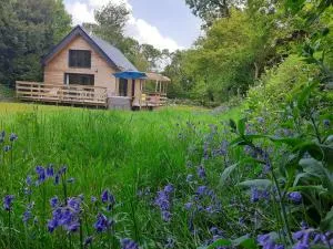 Ecolodge des Monts d'Arrée & spa - 于埃尔戈阿