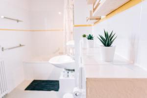 City Apartment Singen