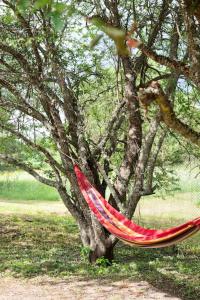 Paluküla tiny house Kuuse