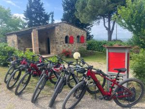 Il Fiorino di Badia